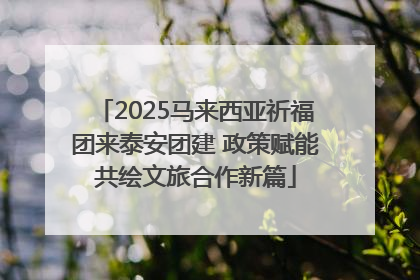 2025马来西亚祈福团来泰安团建 政策赋能共绘文旅合作新篇