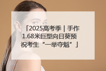 2025高考季｜手作1.68米巨型向日葵预祝考生“一举夺魁”