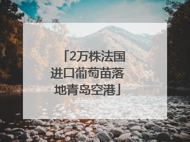 2万株法国进口葡萄苗落地青岛空港