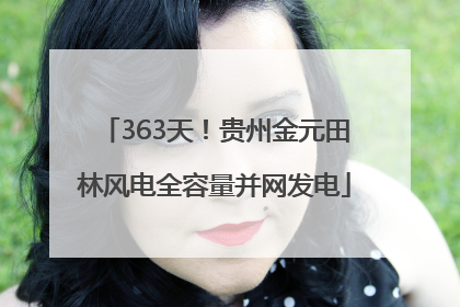 363天！贵州金元田林风电全容量并网发电