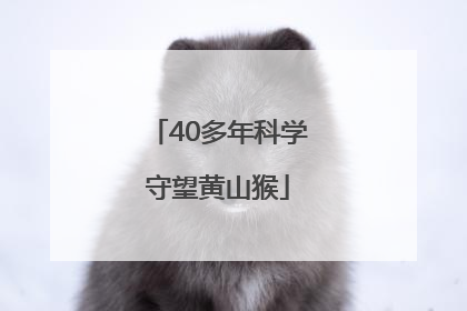 40多年科学守望黄山猴