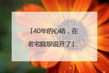 40年的心结，在老宅院坝说开了