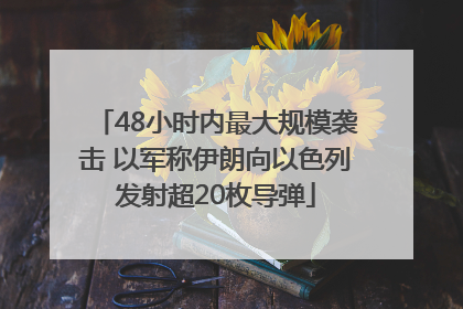 48小时内最大规模袭击 以军称伊朗向以色列发射超20枚导弹
