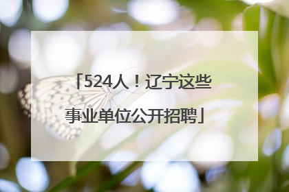 524人！辽宁这些事业单位公开招聘