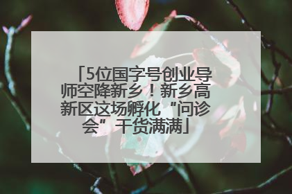 5位国字号创业导师空降新乡！新乡高新区这场孵化“问诊会”干货满满