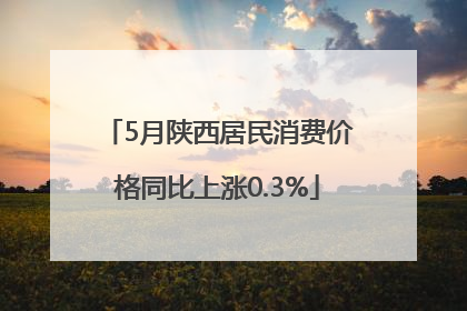 5月陕西居民消费价格同比上涨0.3%