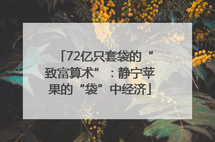 72亿只套袋的“致富算术”：静宁苹果的“袋”中经济