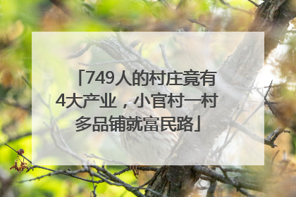 749人的村庄竟有4大产业，小官村一村多品铺就富民路