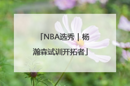 NBA选秀｜杨瀚森试训开拓者