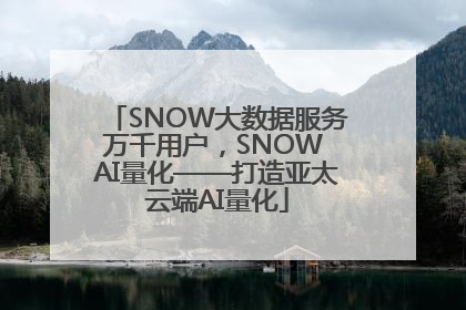 SNOW大数据服务万千用户，SNOW AI量化——打造亚太云端AI量化